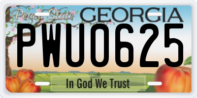GA license plate PWU0625