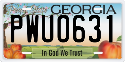GA license plate PWU0631