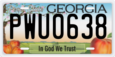 GA license plate PWU0638
