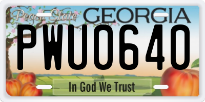 GA license plate PWU0640