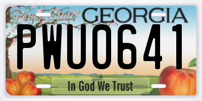 GA license plate PWU0641