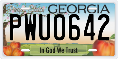 GA license plate PWU0642