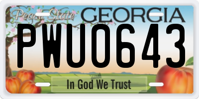 GA license plate PWU0643
