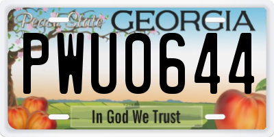 GA license plate PWU0644