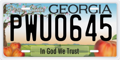 GA license plate PWU0645