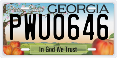 GA license plate PWU0646