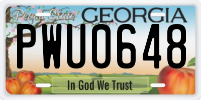 GA license plate PWU0648