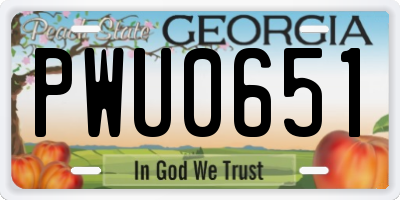 GA license plate PWU0651