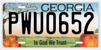 GA license plate PWU0652