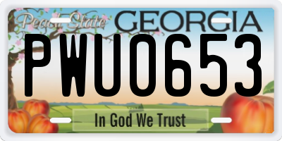 GA license plate PWU0653