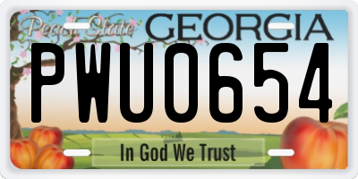 GA license plate PWU0654