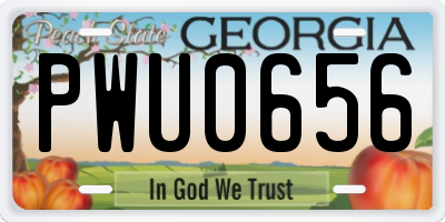 GA license plate PWU0656