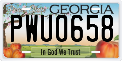 GA license plate PWU0658