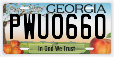 GA license plate PWU0660