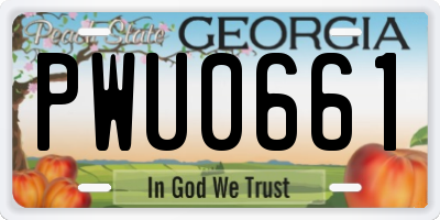 GA license plate PWU0661