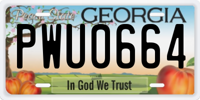 GA license plate PWU0664