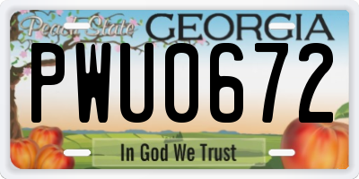 GA license plate PWU0672