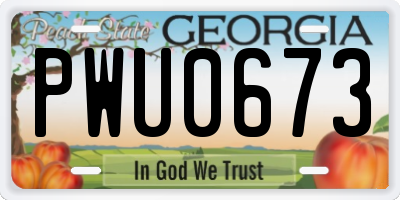 GA license plate PWU0673
