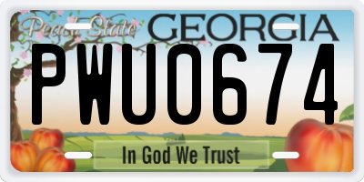 GA license plate PWU0674