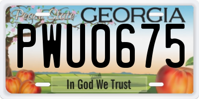 GA license plate PWU0675