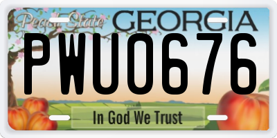 GA license plate PWU0676