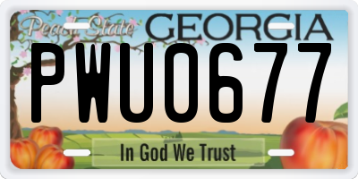 GA license plate PWU0677