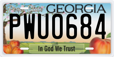 GA license plate PWU0684