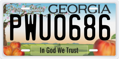 GA license plate PWU0686