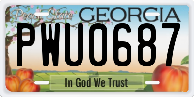 GA license plate PWU0687
