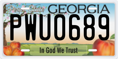 GA license plate PWU0689