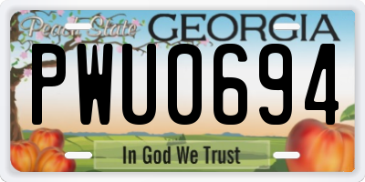 GA license plate PWU0694