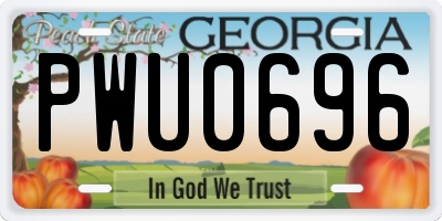 GA license plate PWU0696
