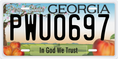 GA license plate PWU0697