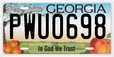GA license plate PWU0698