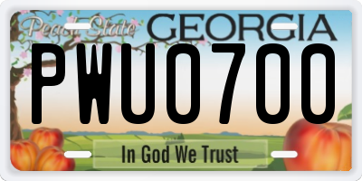 GA license plate PWU0700