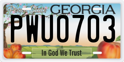 GA license plate PWU0703
