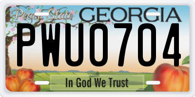 GA license plate PWU0704