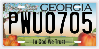 GA license plate PWU0705