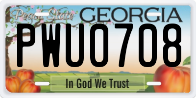 GA license plate PWU0708