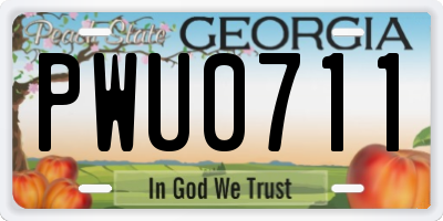 GA license plate PWU0711