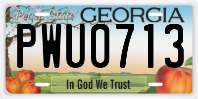 GA license plate PWU0713