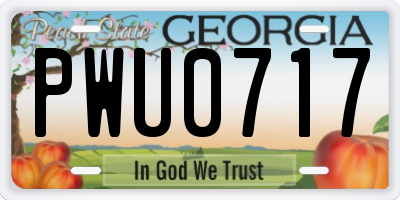 GA license plate PWU0717