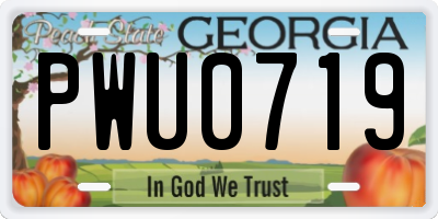 GA license plate PWU0719
