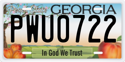 GA license plate PWU0722