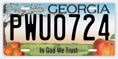 GA license plate PWU0724