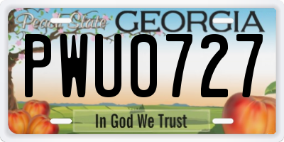GA license plate PWU0727