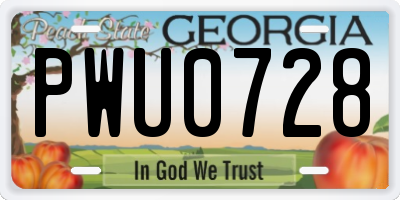 GA license plate PWU0728