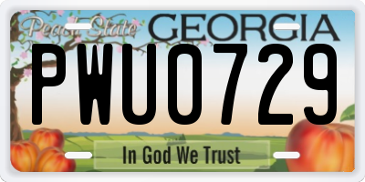 GA license plate PWU0729