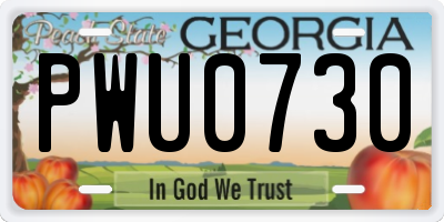 GA license plate PWU0730