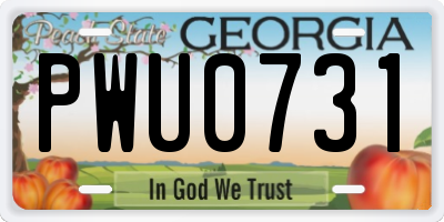 GA license plate PWU0731
